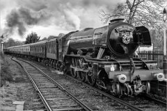 Flying-Scotsman